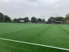 Afbeelding grasveld bij de MFA Haalderen