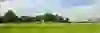 Sportveld